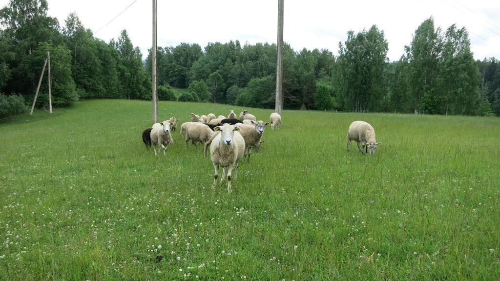 Maee Farm Vila Rõuge Exterior foto